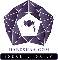 Habeshaa Entertainment